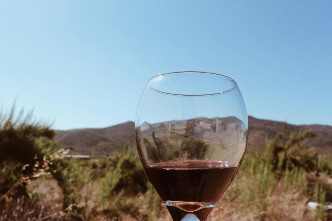 Quintas Marlet En La Ruta Del Vino Энсенада Экстерьер фото